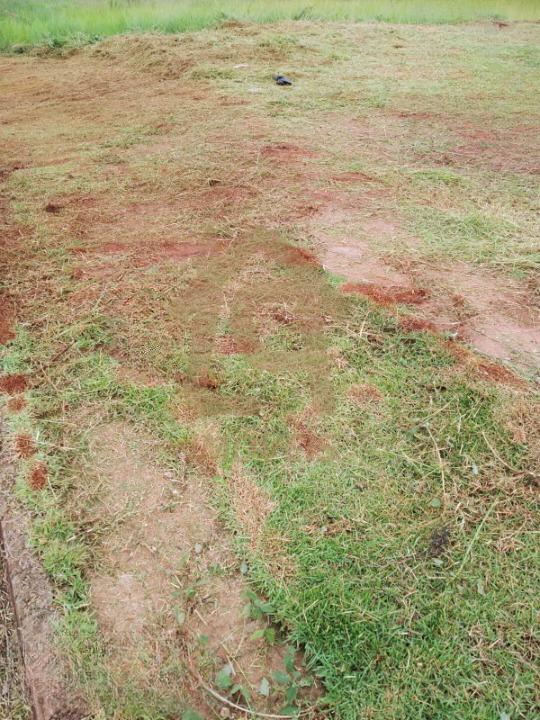 Terreno para Venda na cidade de Maring&aacute; no bairro Distrito de Iguatemi (Iguatemi)