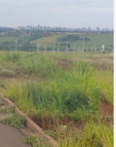 Terreno Comercial para Venda na cidade de Sarandi no bairro Ecovalley Ecologic City