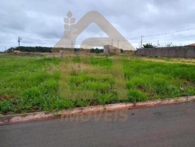 Terreno para Venda, em Iguara�u, bairro VILA VERDE